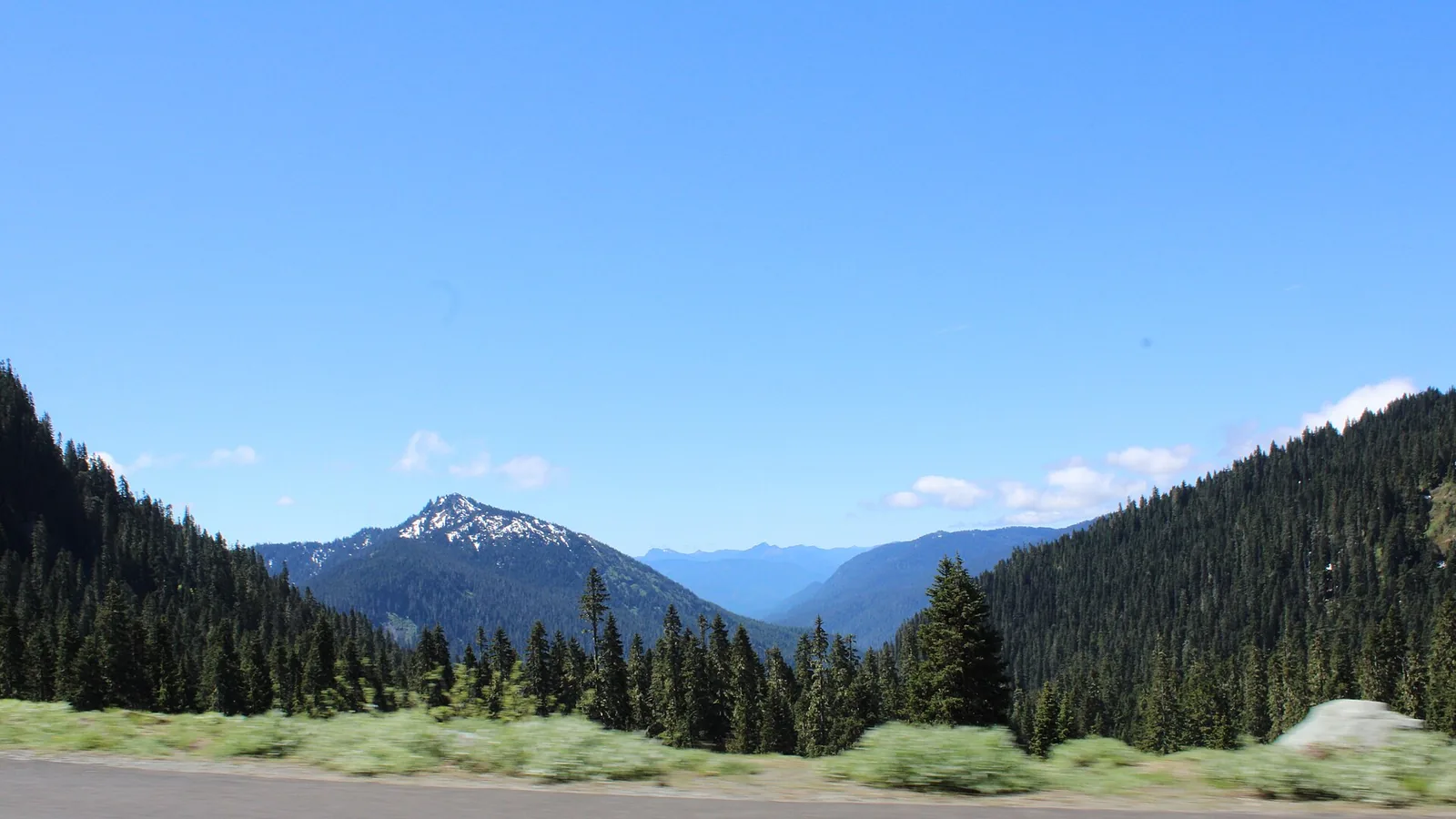Ohanapecosh Valley