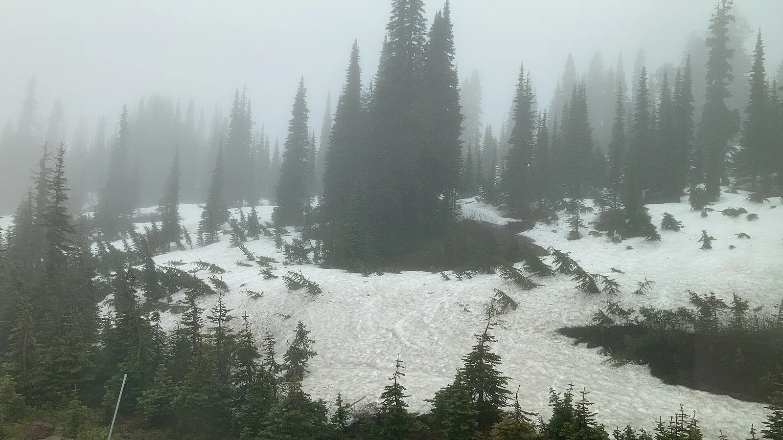 Snow still covering Paradise in early July