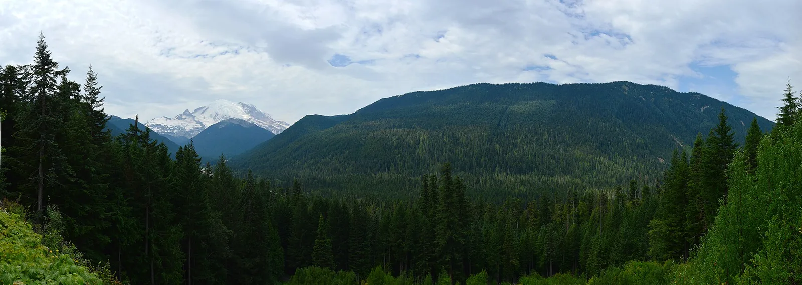 Mount Rainier above the White River